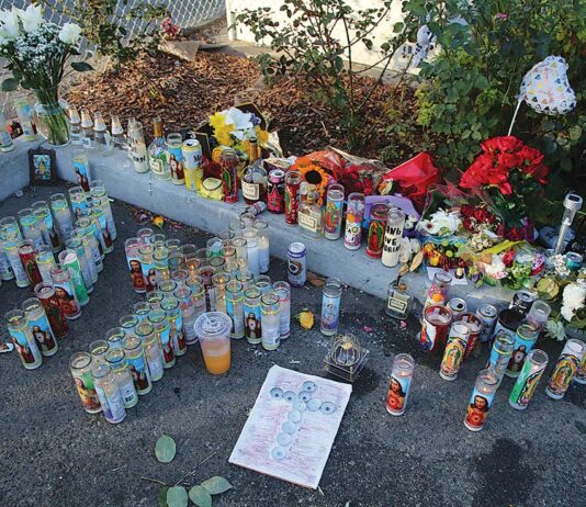 Watsonville homicide victim was striving to ‘clean up’ life, mother says adrian ayala sudden brennan street homicide altar memorial
