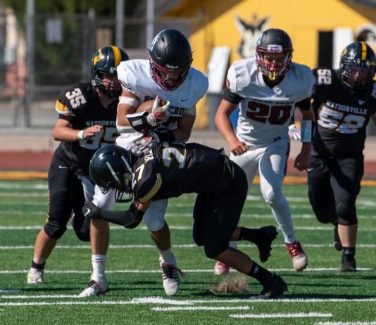 Photos: ‘Catz declawed by Cardinals in non-league action | Week 2 scoreboard