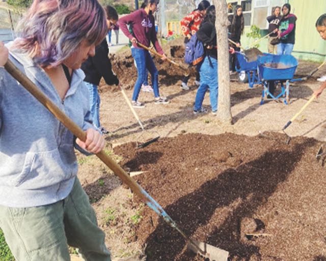 Food scrap composting program diverting tons from landfill