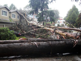 Heavy weather tramples county