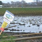 Image for display with article titled Ag Industry Reeling From Floods