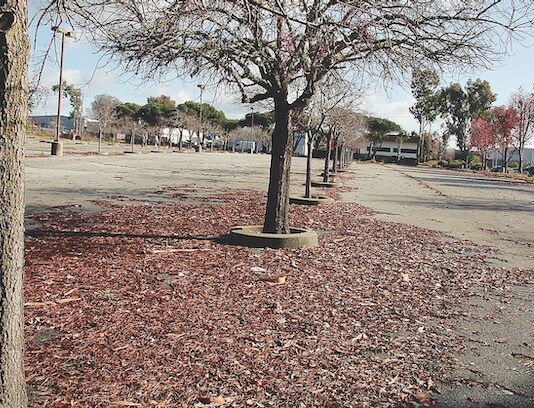 Council approves self-storage facility near airport