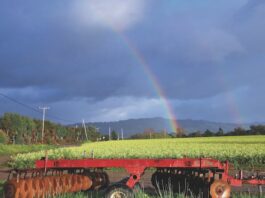 Sunshine and cooler temps are on the horizon