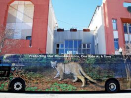 metro bus mural santa cruz