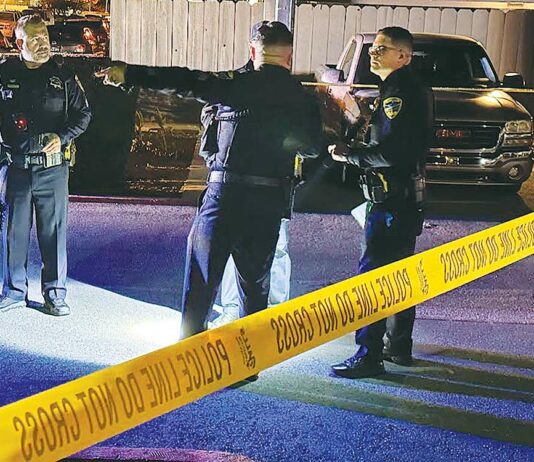 watsonville police homicide sunnyhills drive