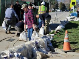 college road cleanup