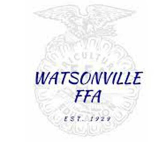 watsonville ffa