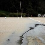 Image for display with article titled Pajaro floods wreak havoc on agriculture