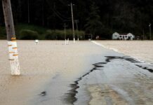 pajaro river mcgowan road farm flood