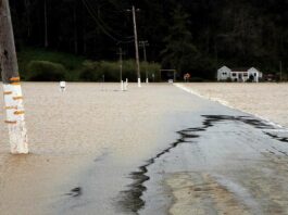 pajaro river mcgowan road farm flood