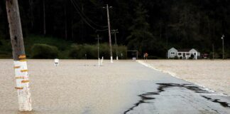 pajaro river mcgowan road farm flood