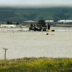 Image for display with article titled Floodwaters continue to rise in Pajaro as crews begin levee repairs