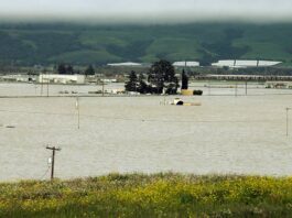pajaro river flood