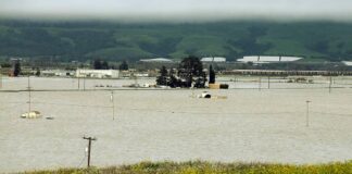 pajaro river flood