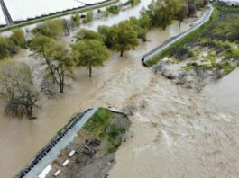 pajaro river levee breach flood