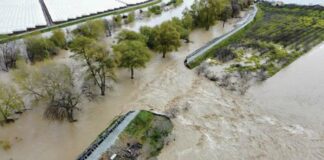 pajaro river levee breach flood