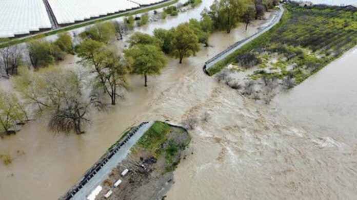 pajaro river levee breach flood