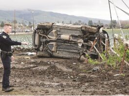 PHOTO: SUV rolls into ag field on Holohan Road suv rollover holohan road
