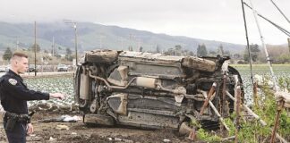 suv rollover holohan road