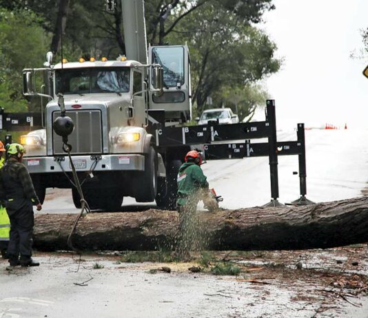 Forecasters: Prepare for another storm kennedy road fallen tree