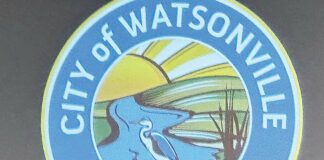 jim avis watsonville city council meeting