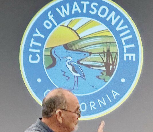 jim avis watsonville city council meeting
