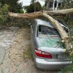 Image for display with article titled PHOTO: Tree crushes car, shuts down Aromas Road