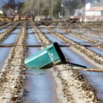 Image for display with article titled Officials hope to expedite plans to repair Pajaro levee