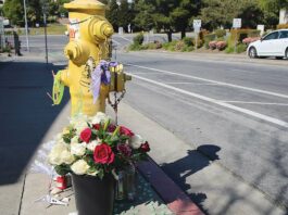 watsonville homicide altar rodriguez main street