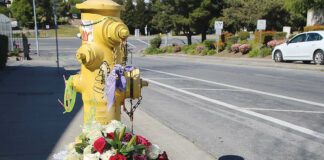 watsonville homicide altar rodriguez main street