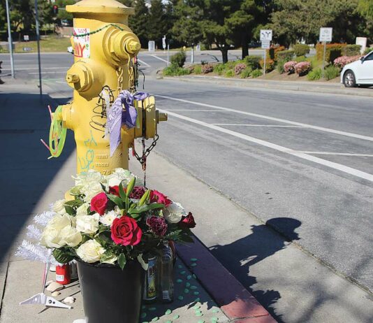 watsonville homicide altar rodriguez main street