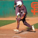 Image for display with article titled Revamped Sharks fight to defend league title | High school baseball