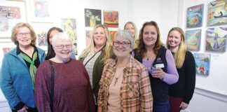 freedom rotary paul harris fellow judy stabile pv arts