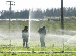 Central Coast water agencies grapple with storm impacts