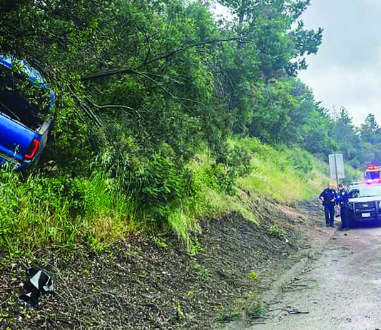 Bank robber, carjacking suspect caught