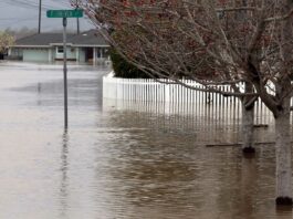 corralitos creek flood