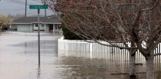 corralitos creek flood
