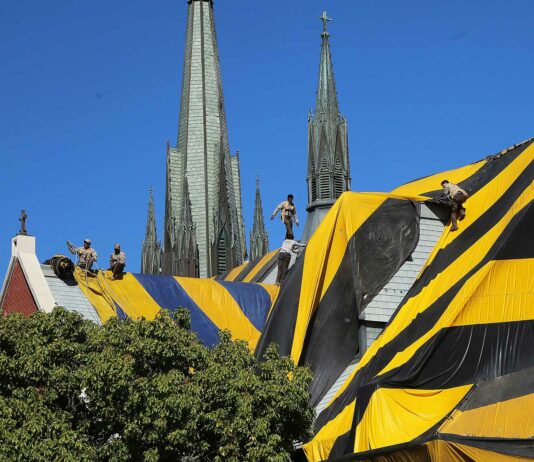 st Patrick's church fumigation treatment