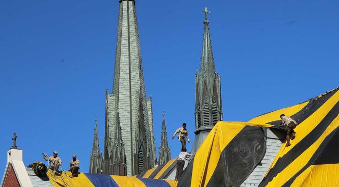 st Patrick's church fumigation treatment