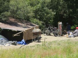 homeless encampment pajaro river levee