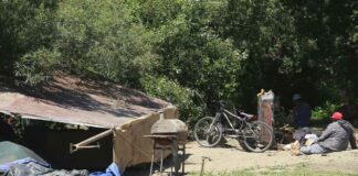 homeless encampment pajaro river levee