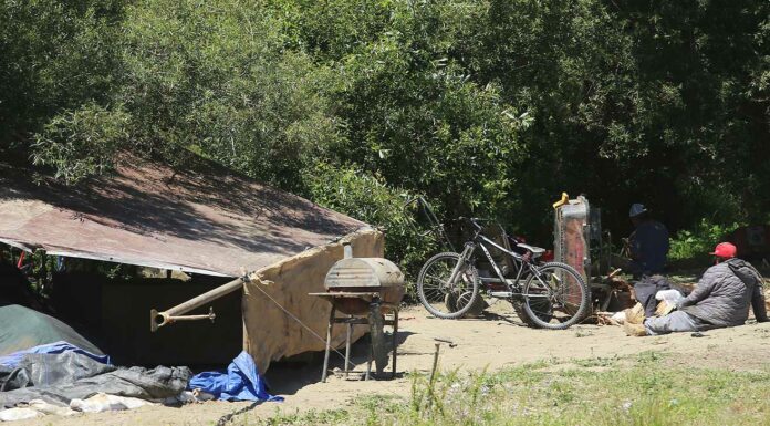 homeless encampment pajaro river levee