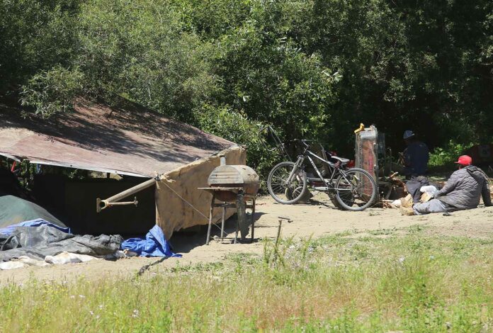 homeless encampment pajaro river levee