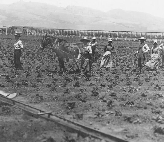Pajaro Valley Historical Association’s annual picnic returns Watsonville strawberry fields Pajaro Valley Historical Association