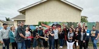 freedom rotary flodberg park mural