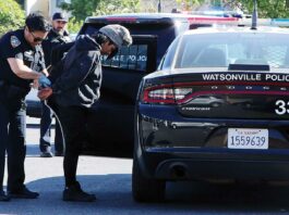 car theft suspect overlook center watsonville police