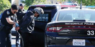 car theft suspect overlook center watsonville police
