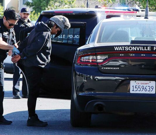 car theft suspect overlook center watsonville police
