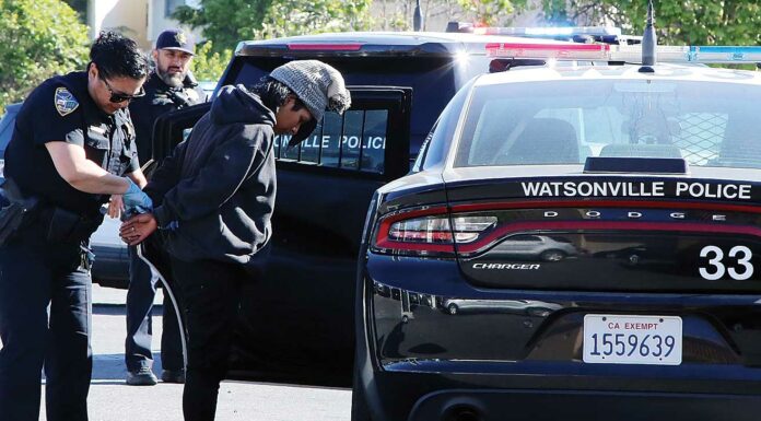 car theft suspect overlook center watsonville police