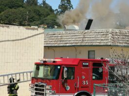 las lomas mushroom farm fire
